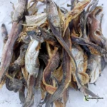 হোম মেড টাকি শুটকি ১ কেজি – ১০০% প্রাকৃতিক স্বাদ (Taki Sutki)-pic-1